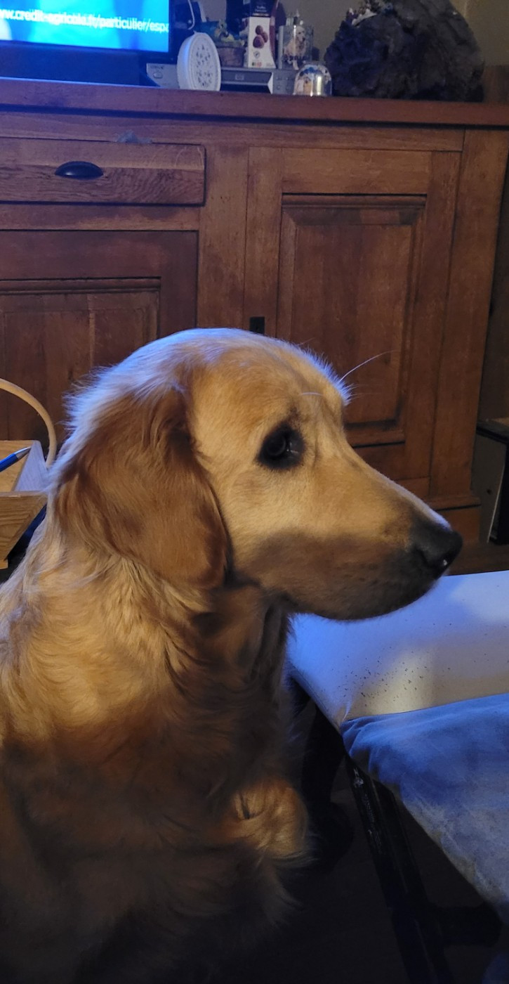 Shayenne Des Fields Daoe