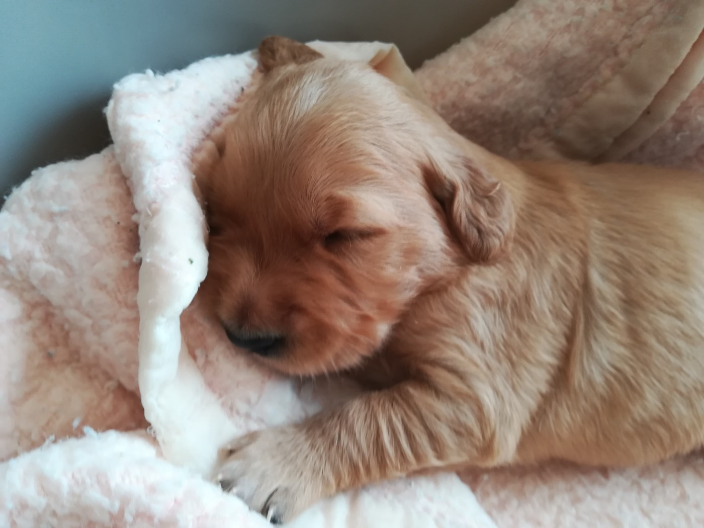 A VOS RESERVATIONS!!!!!!!!!!!