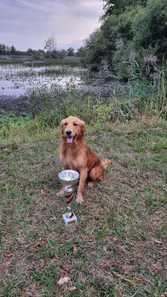 VIC DES FIELDS D'EST