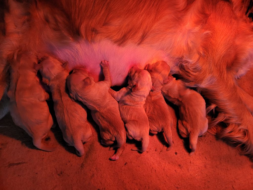 Bébé louna nuts 2022
